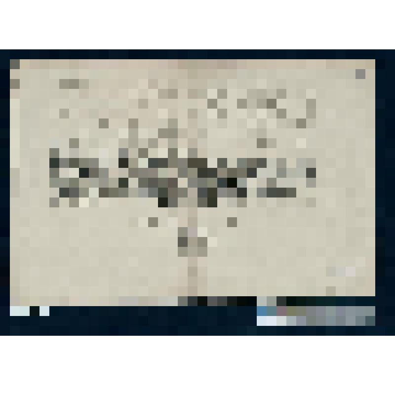 Бытовая сцена. Модный кабачок "королевский барабан". "Le Cabaret a la mode!" наверху "Pl.89.F."