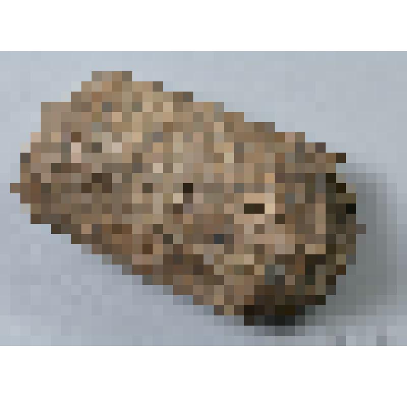 Рога обрезок, заготовка