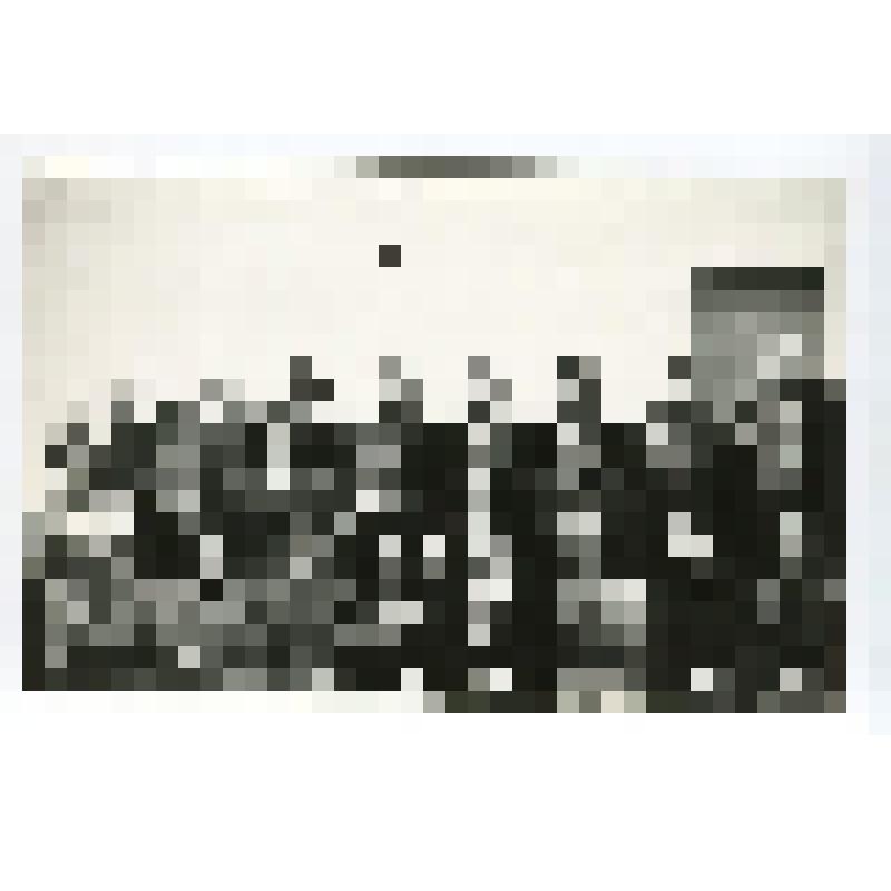 Фото групповое. Председатели и лекторы первичных организаций общества «Знание»