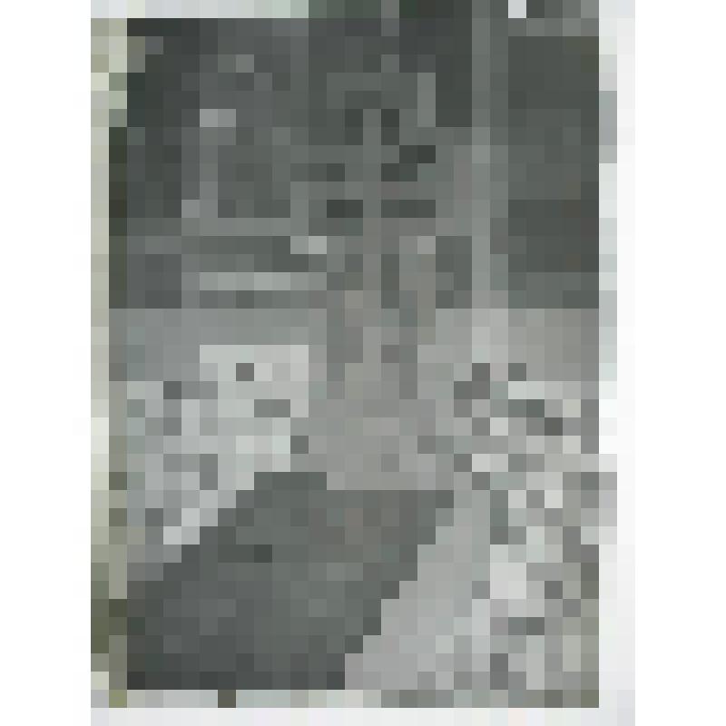 Данилов монастырь, г. Москва. Данилов монастырь. Надгробие Черкасского. Общий вид