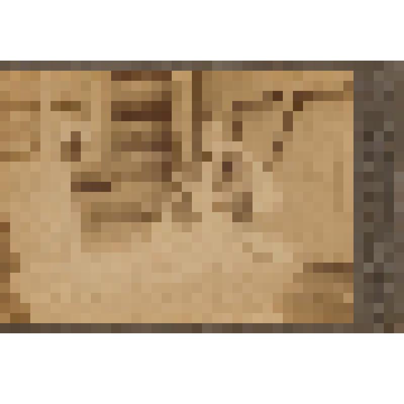 Фотопортрет на паспарту. Молодая женщина, знакомая Нарышкиных (предположительно), у гроба ребёнка. Фотография И.И. Белова