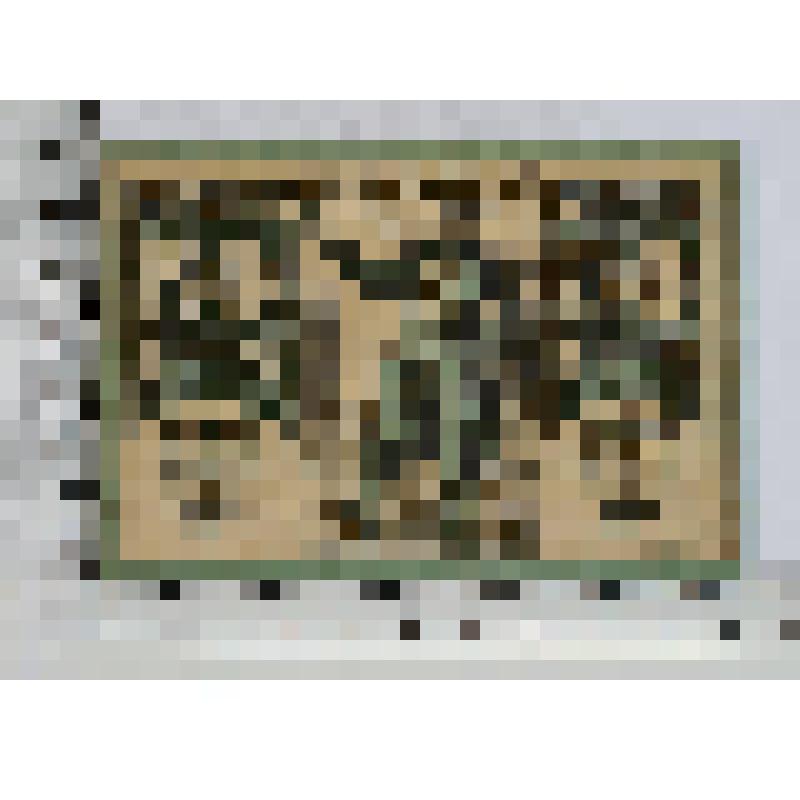 Германия, Штраубинг (Straubing). Нотгельд. 50 пфеннигов.  Январь 1919 г. до 1 января 1921 г