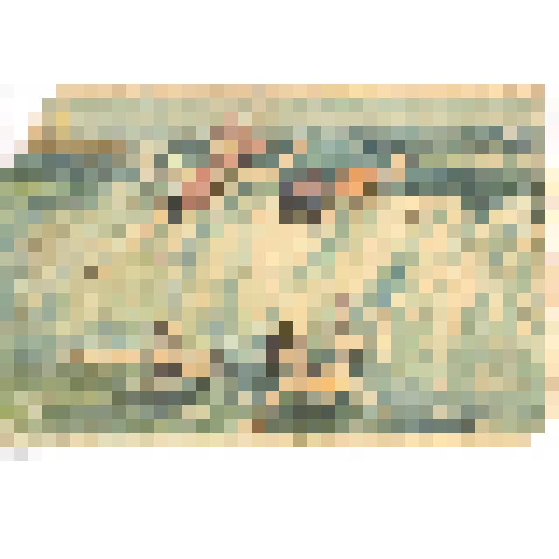 Письмо на открытке Казачкова Петра дочери Наде с фронта