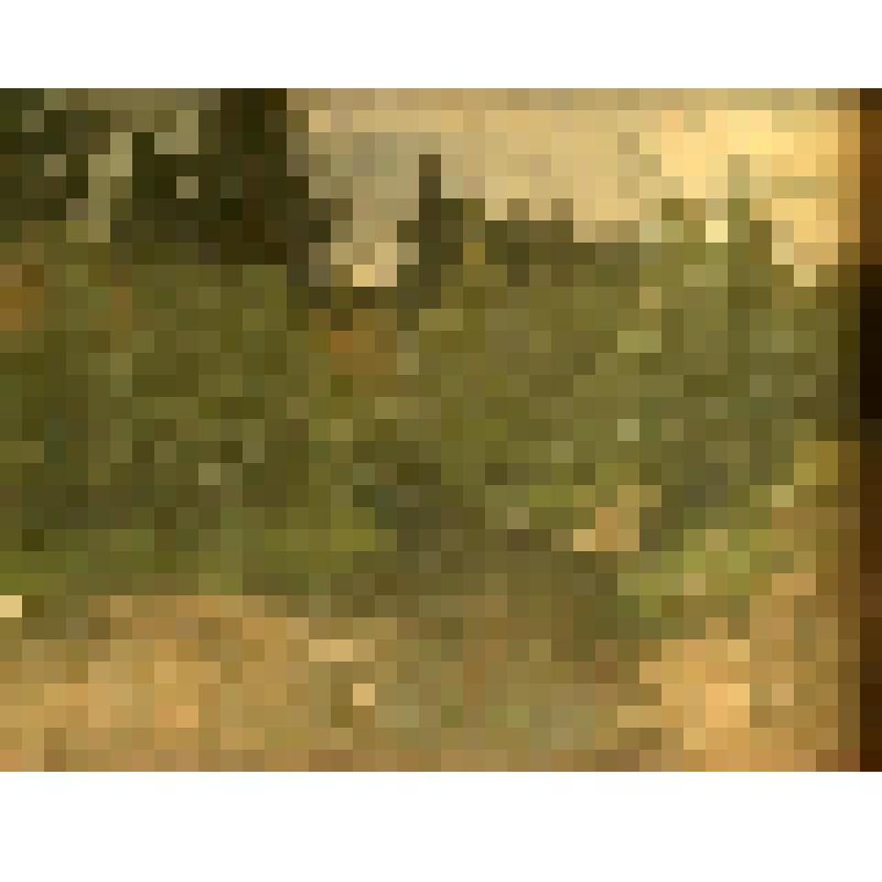 Пейзаж. Пейзаж