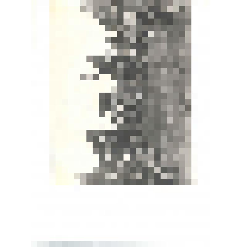 Фотография
маевки  1 мая  1917  года  в  гор.Екатеринбурге