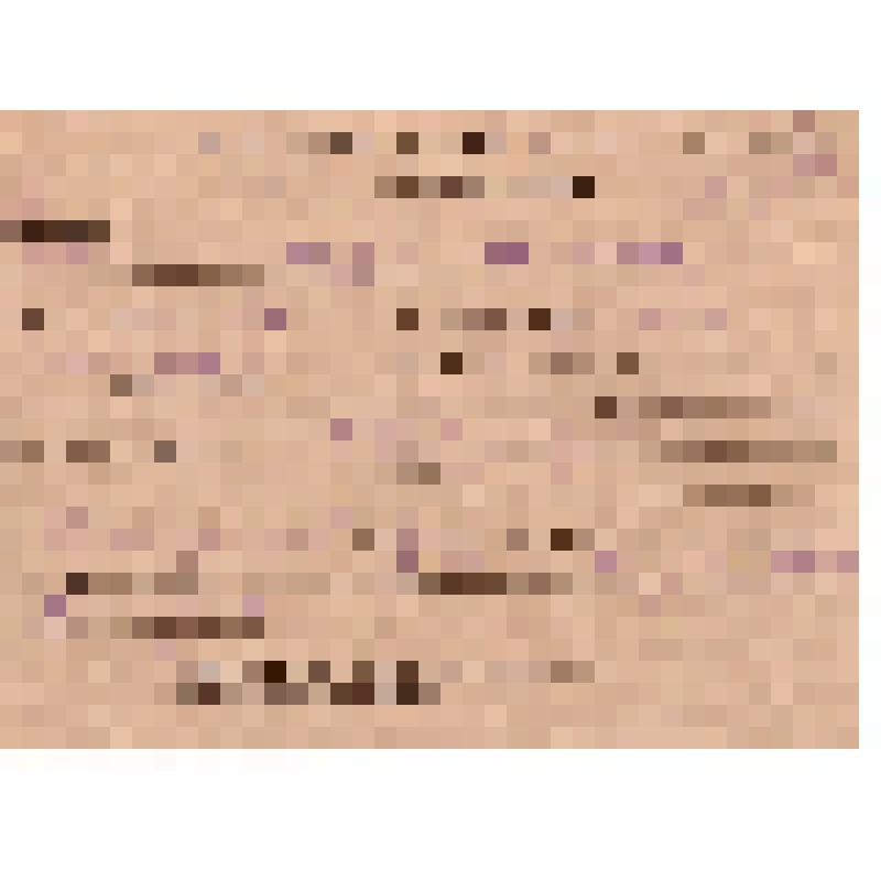 Документ "Учетная карточка на мобилизованного Кожвинским РВК в Красную Армию Шоклеина Андрея Павловича, 1942 г. "