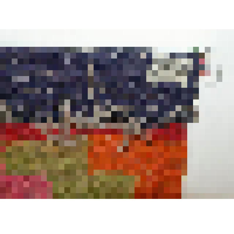 Палас татарский шерстяной из одной полосы закладного ткачества (ступенчатые ромбы с крестами в центре)