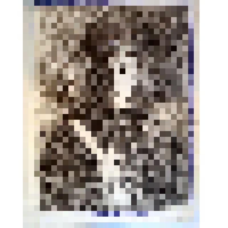 Портрет Н.С.Гумилева