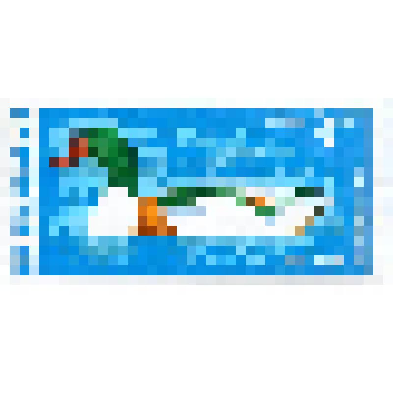 Марка почтовая. Птица пеганка или атайка (Tadorna tadorna). Номинал 3 болгарских стотинки