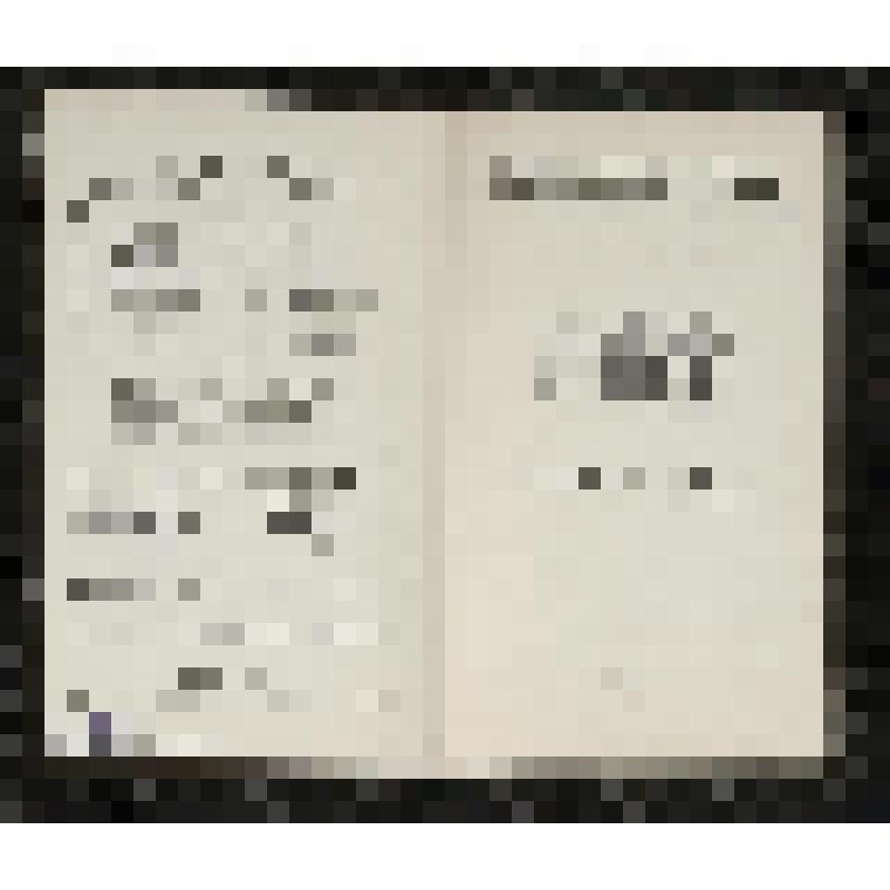 Программа. "Иван Сусанин" (Дирижер - Небольсин В.В. Режиссер - Баратов Л.В. Художник - Вильямс П.В.). Москва. Государственный академический Большой театр СССР