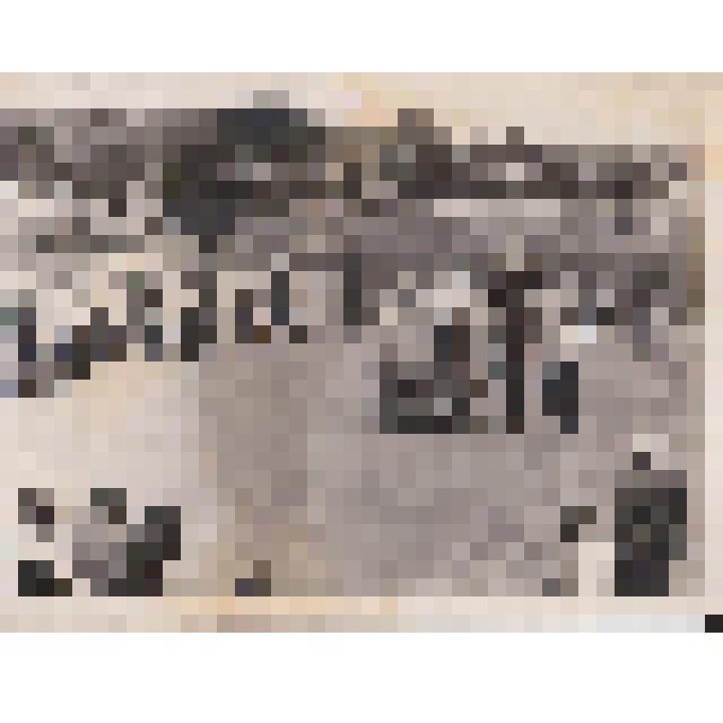 Фото черно-белое сюжетное
Соревнования собаководов