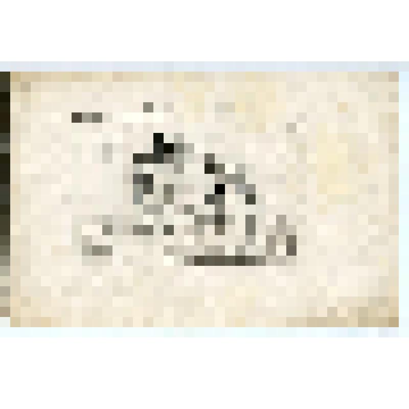 репродукция. La visite du camp par des commissaires aristocrates <Комиссары-аристократы посещают военный лагерь>. Из серии "Caricatures sur les émigrés" <"Карикатуры на эмигрантов">