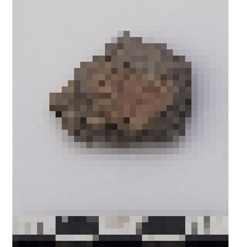 фрагмент стенки сосуда