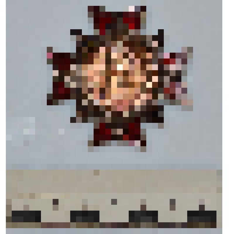 Знак "Труд Честь Слава Василий Алексеев" -подарок Чубу В.Ф