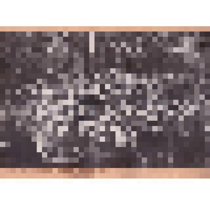 М.И. Калинин на фабрике "Госзнак"