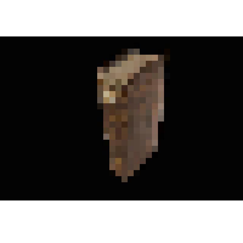 Книга старопечатная. Диалогием духовный.  Киев, Лаврская тип.,1710