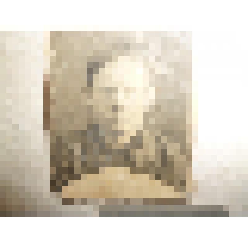 фотография
Денисова  Василия  Борисовича