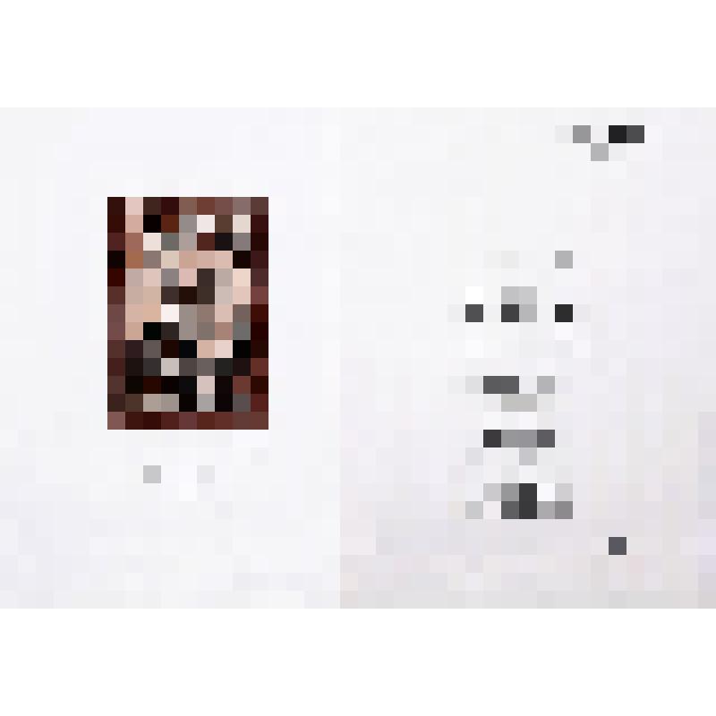 Авторская книга «Сады моей души…  12 стихотворений поэтов Серебряного века». 1994. Лист 5. Разворот