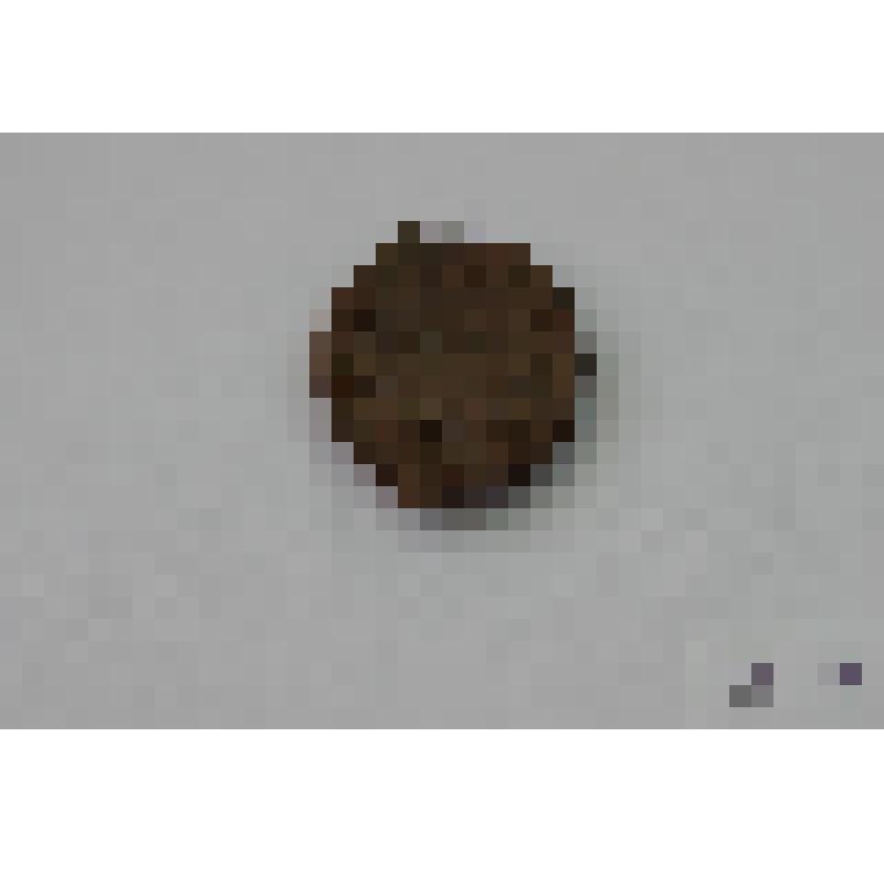 Монета античная