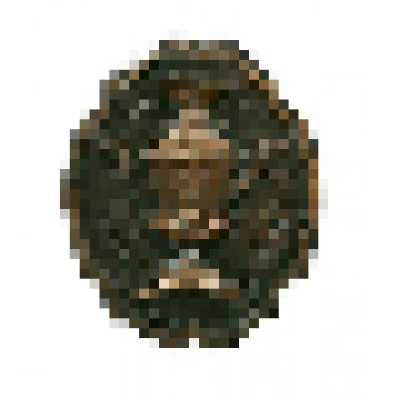 Значок. Москва. 1829, на булавке. СССР