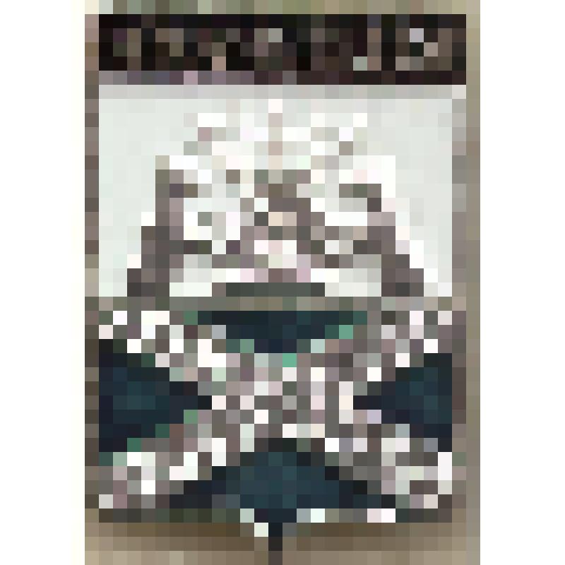 Значок нагрудный с изображением герба г.Крестцы. Из коллекции по теме "Геральдика"