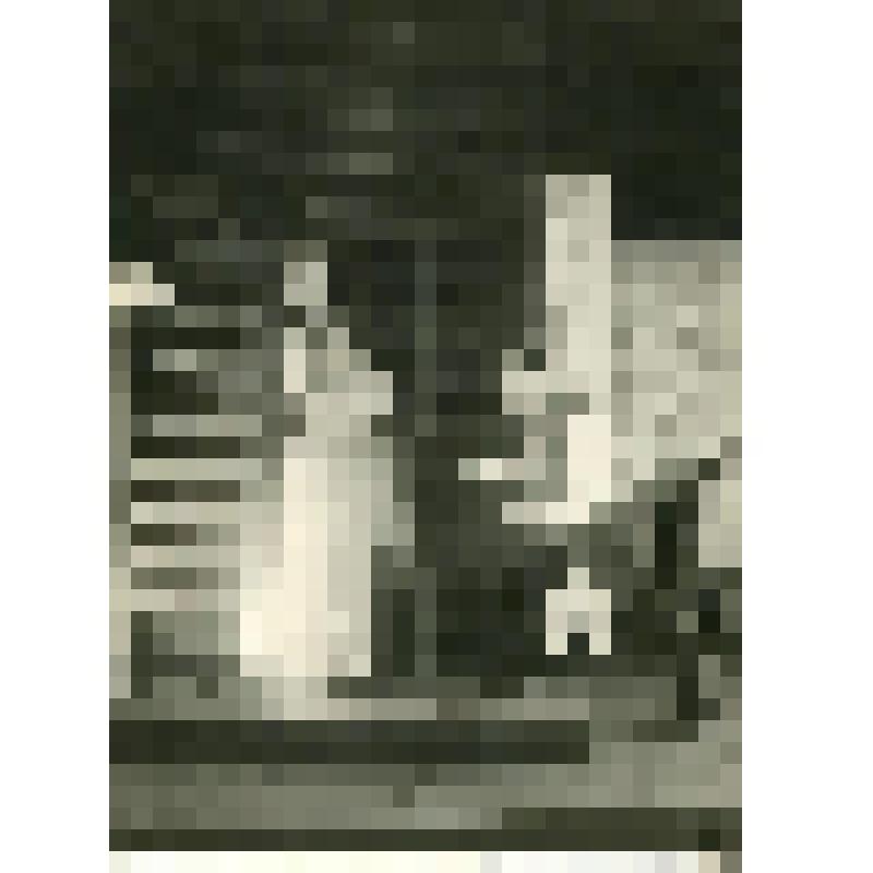 Фотография, продолжение. Сцена в доме мужа Эллен. А.Г. Коонен стоит на фоне зеркальной двери, правая рука вытянута вверх, левая на талии. С.С. Ценин рванулся к ней, в рост, в профиль вправо. "Машиналь". Москва, Камерный театр (п/р Таирова)