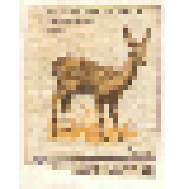 Коллекция спичечных этикеток Павла Немцова. "Косуля"