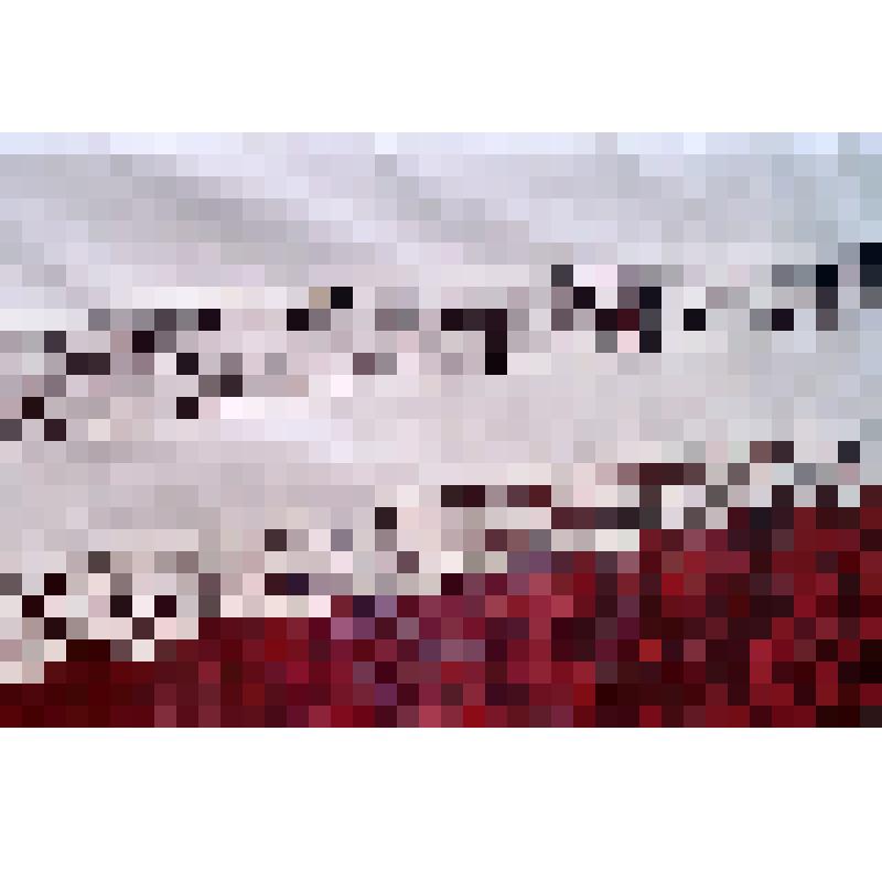 Подзор полотняный, отделанный прошвой и кружевом. Миньяр. Начало ХХ века