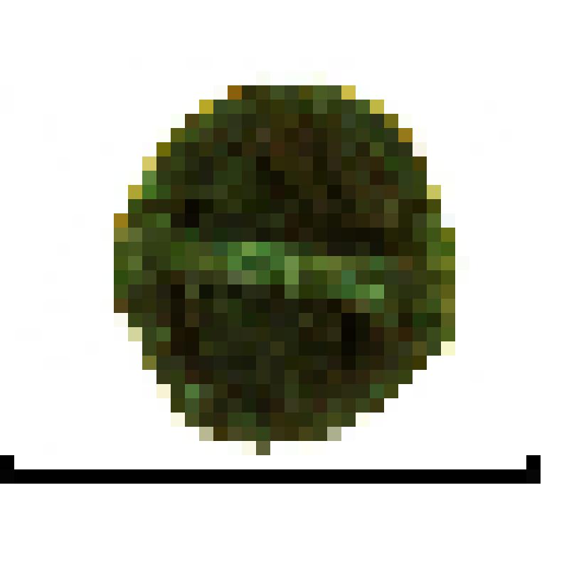 Бляшка