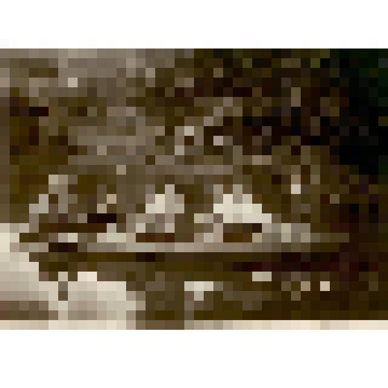 Фотография. Хохлов С.С., отдыхающий санатория Черемшаны-1, из коллекции материалов Хохлова Сергея Спиридоновича (1910-1974), саратовского ученого-генетика, доктора биологических наук, профессора, зав.кафедрой генетики и дарвинизма СГУ