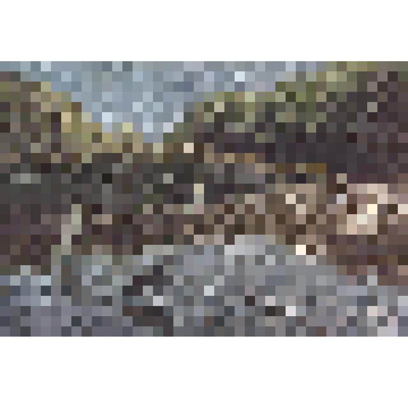 Открытка фотографическая. Астрахань. В Астраханском заповеднике