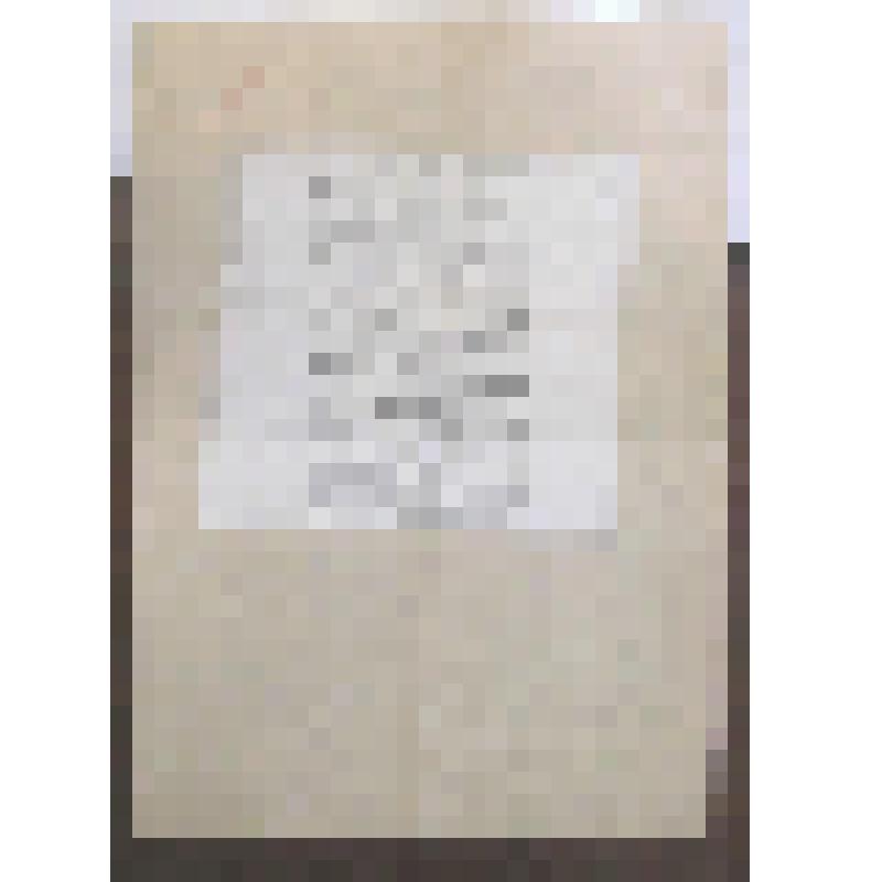 "Степанова Ангелина Иосифовна". Статья в "Театральной энциклопедии". М., гранка, ТЭ, т.IV, с.1090-1091, наклеена на лист