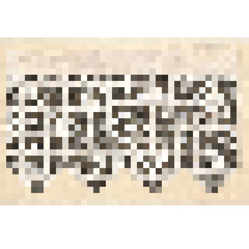 Зарисовка конца полотенца. Из альбома зарисовок «Вышивка Горьковской области». Часть 1