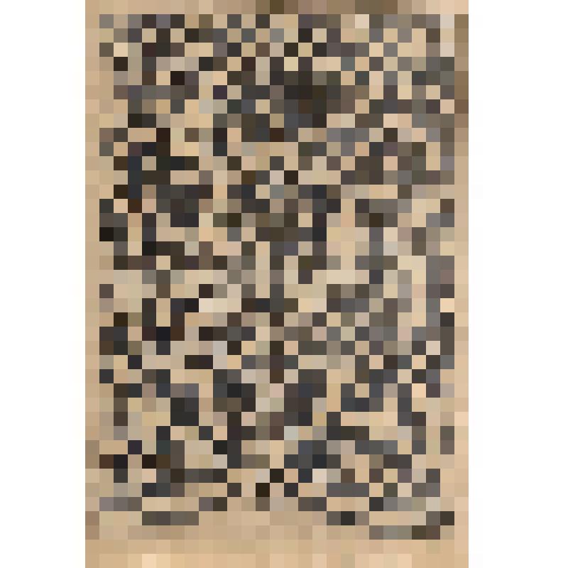 Таблица-зарисовка дагестанского орнамента. Из альбома зарисовок «Дагестанские экспедиции Шиллинга. 1939 – 1944». Часть V