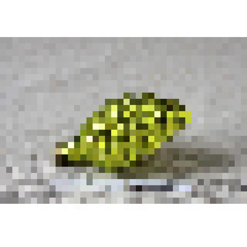 Ёлочная игрушка «Виноград»