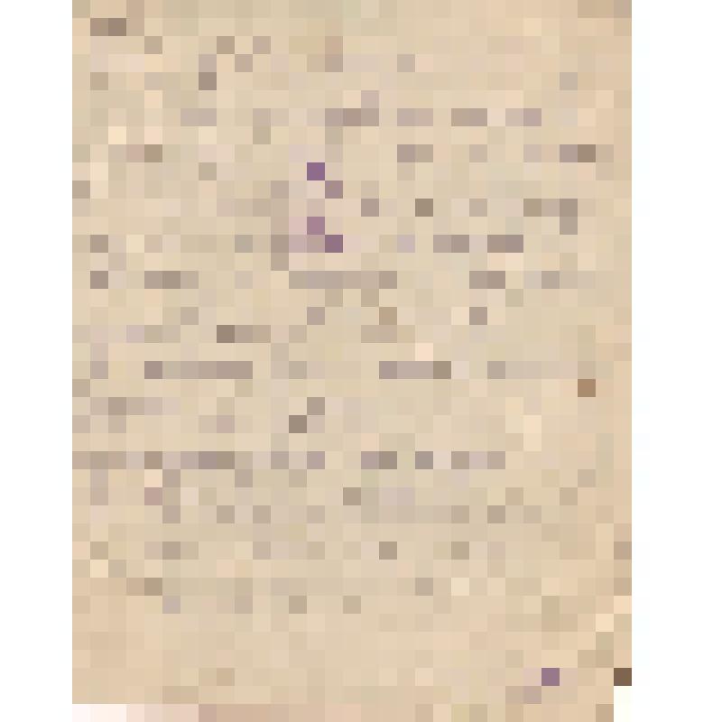Письмо – треугольник Антоновой А.Ф. в Середской р-н, Ивановской обл., д. Василево, Снестиновского с/с. от Захарова А.И