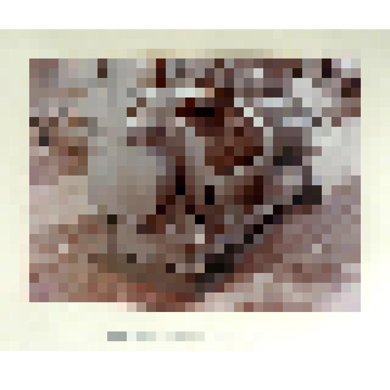 Фотоальбом. Научно-исследовательское судно «Академик Курчатов»: машинное отделение, научные лаборатории, внутренние помещения