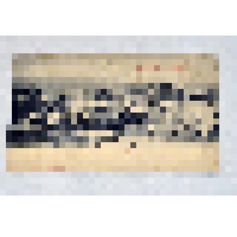 Карточка почтовая. Симбирск. Общий вид