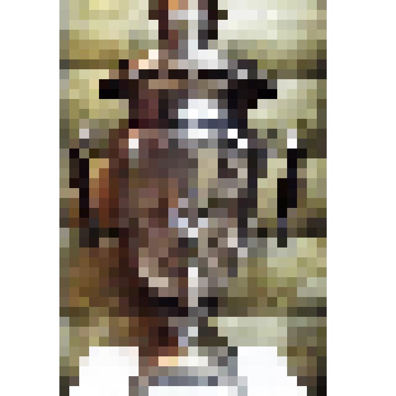 Самовар жаровой парадный