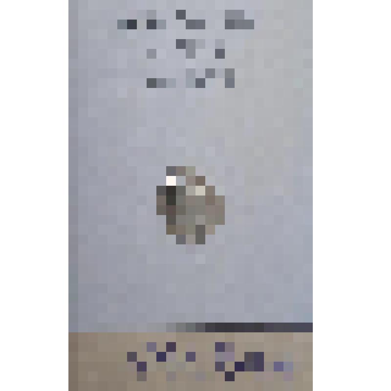 Монета Копейка