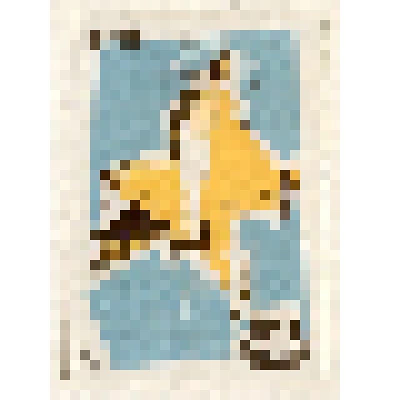 Этикетка спичечная. Эволюция летательных аппаратов. 1955. Проект