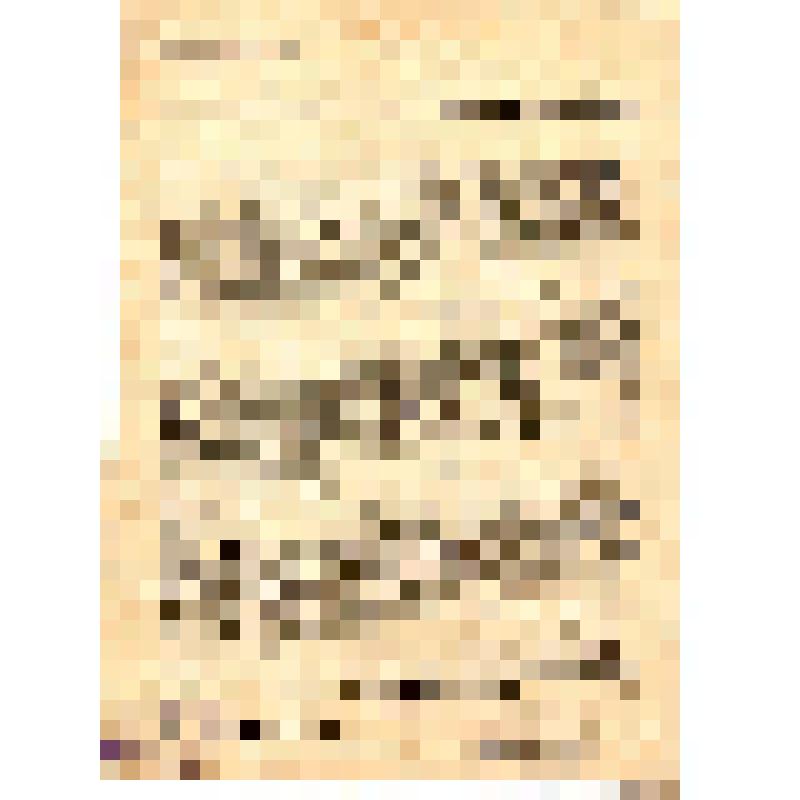 Российская социал-демократическая рабочая партия. Петербургский комитет РСДРП. Товарищи рабочие и солдаты