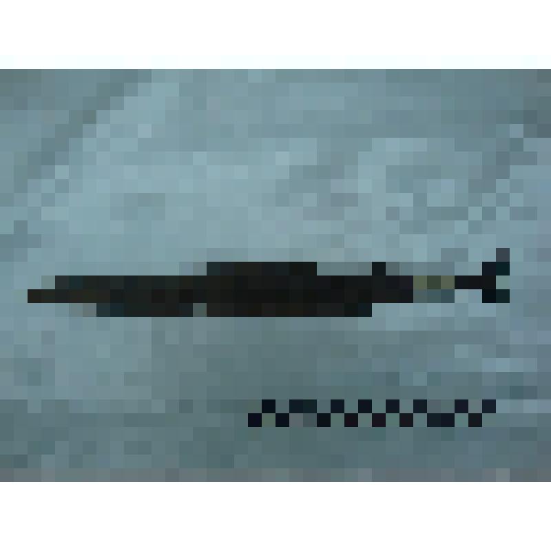 Кинжал (акинак)