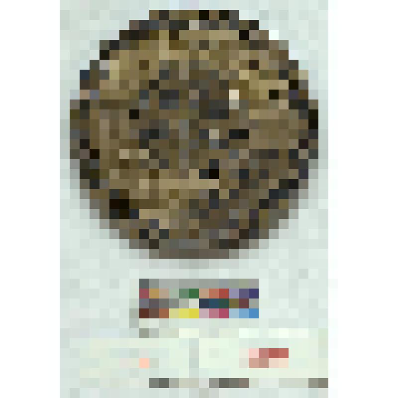 СССР. Медаль. Первенство Европы по фигурному катанию и танцам на льду. Москва, 1965 г