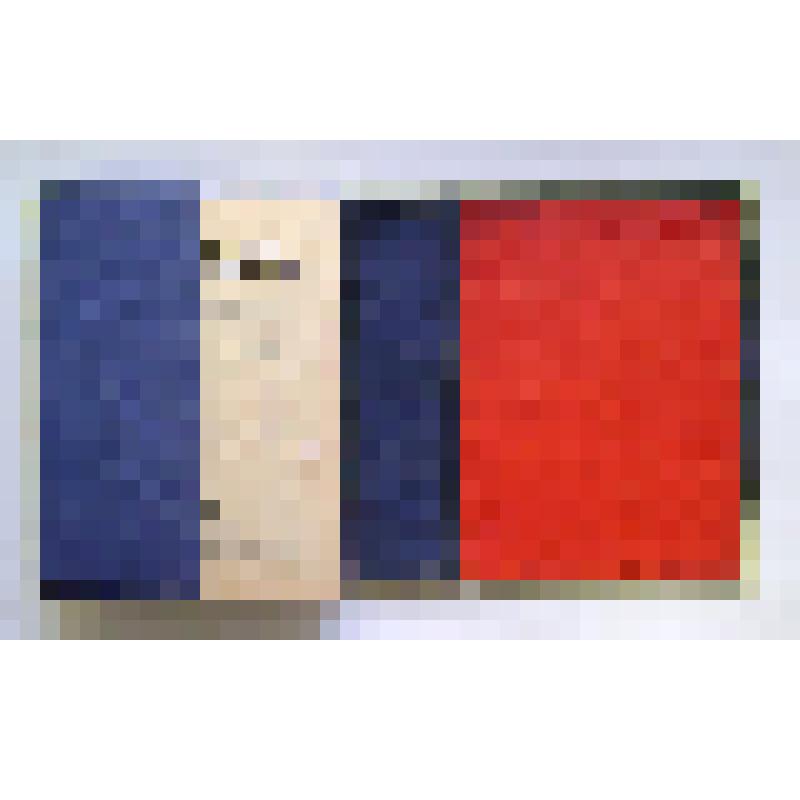 Картотека. История ВКП (б): 219 карточек. – Москва-Ленинград: Всесоюзная справочная картотека, 1933