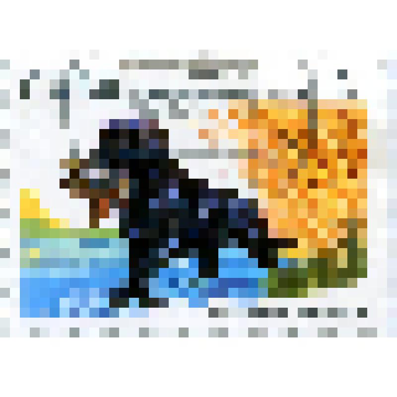 Марка почтовая. Собака охотничья лабрадор-ретривер (Canis lupus familiaris). Номинал 2 кубинских сентаво