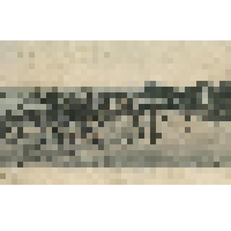 Открытка. Одесса. Николаевский бульвар