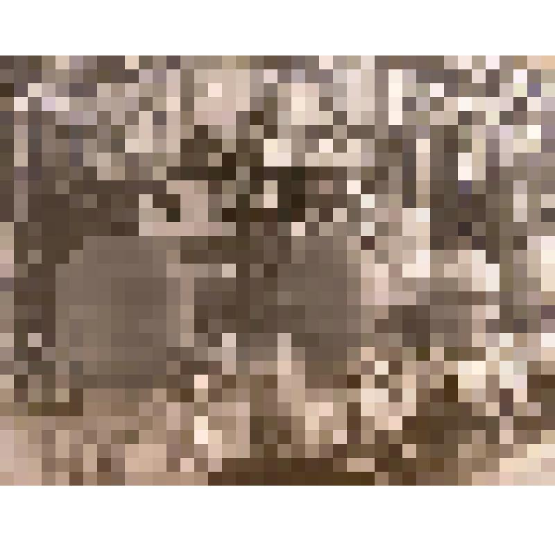 Фотография. Внутренний вид цеха по производству заменителя цельного молока