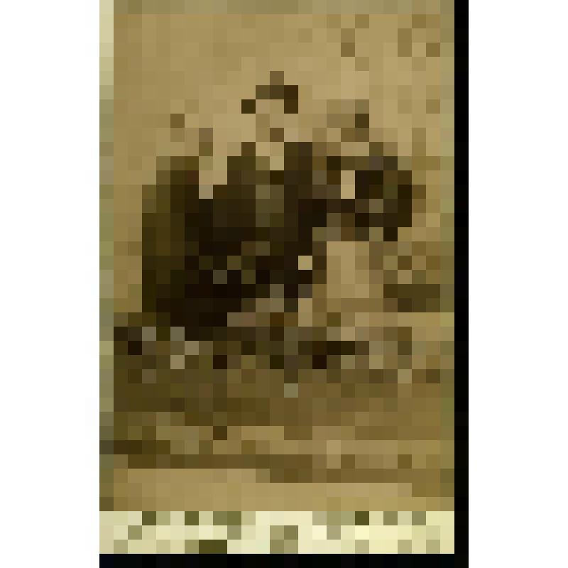 Фотография. Бахрушин А.А., Бахрушина В.В., Постников Владимир Васильевич в Нижнем Новгороде