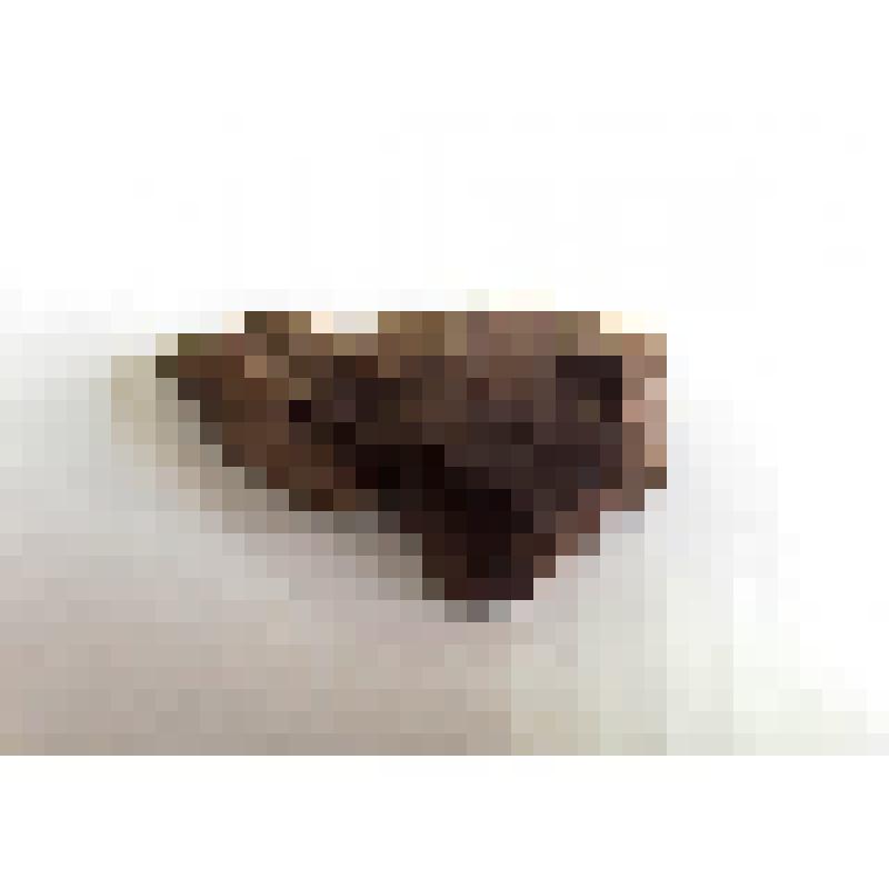 Скол